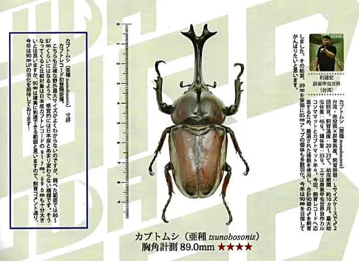 利建宏先生提供