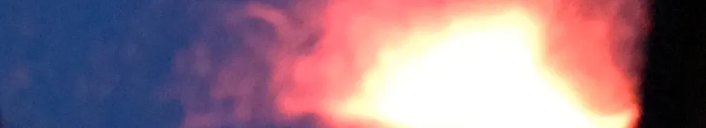 芝麻小姐的沙龍