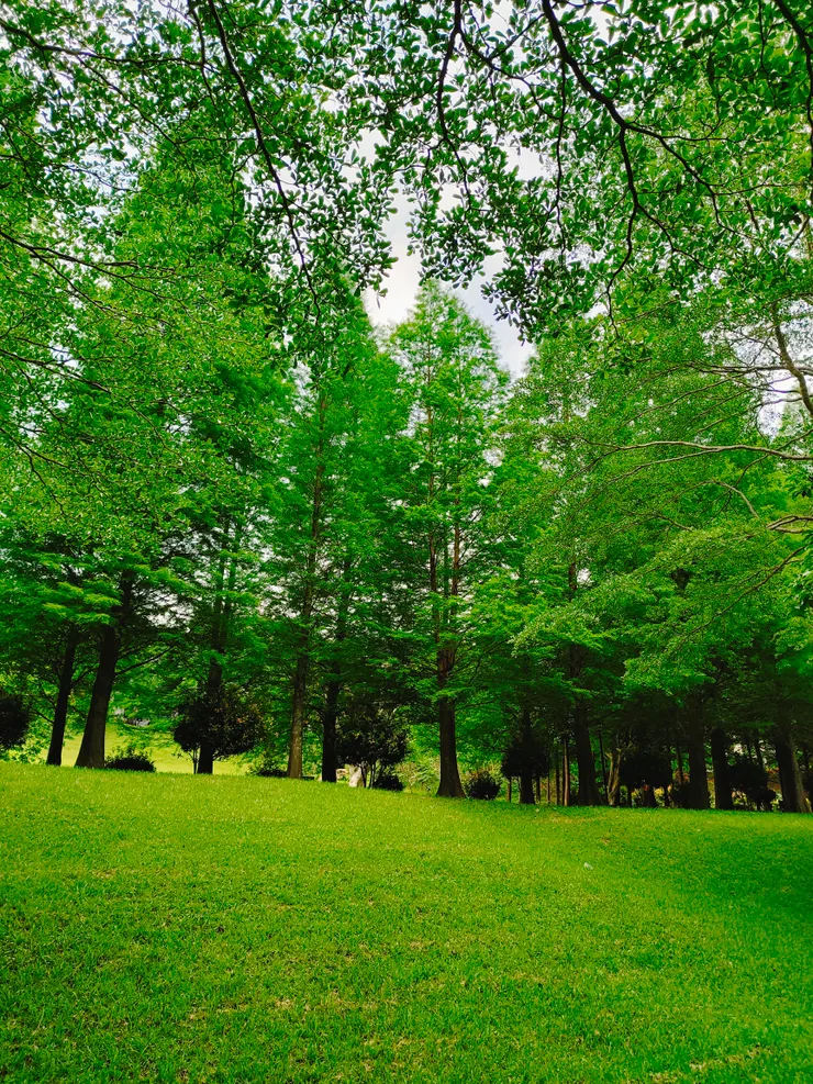 與孩子席地而坐，一眼望去整片的綠。