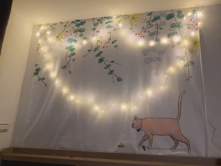 改造貓貓🐈‍⬛