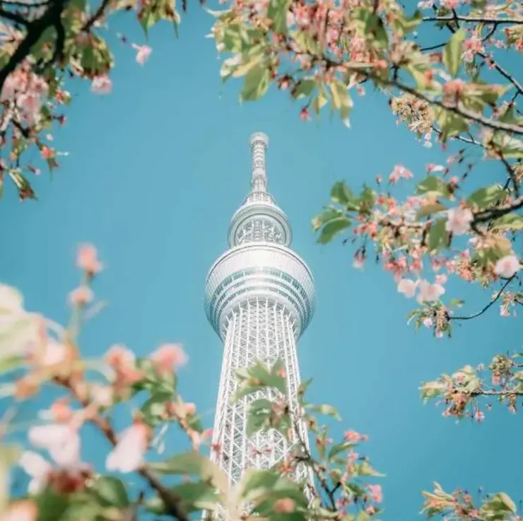 日本東京 5 天 & 6天計劃機票 (圖片來源:KKday)