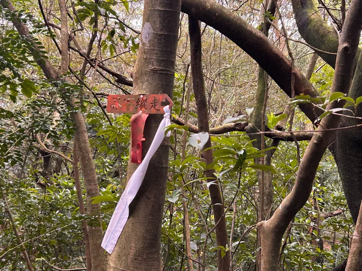 一路跟隨前人的足跡
