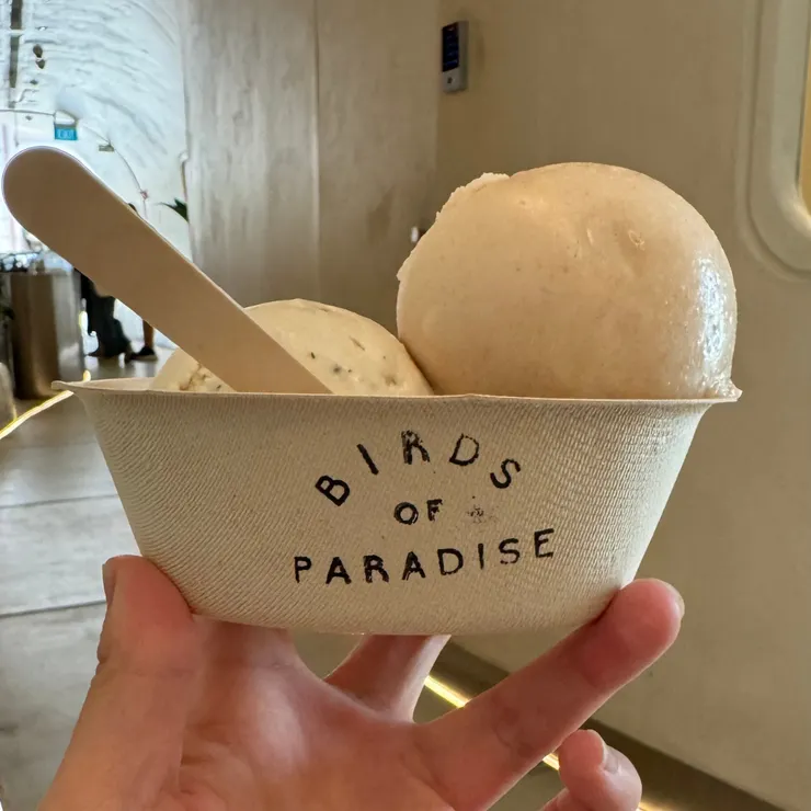 回飯店路上經過Birds of Paradise買兩球Gelat,又濃又綿密讚死!