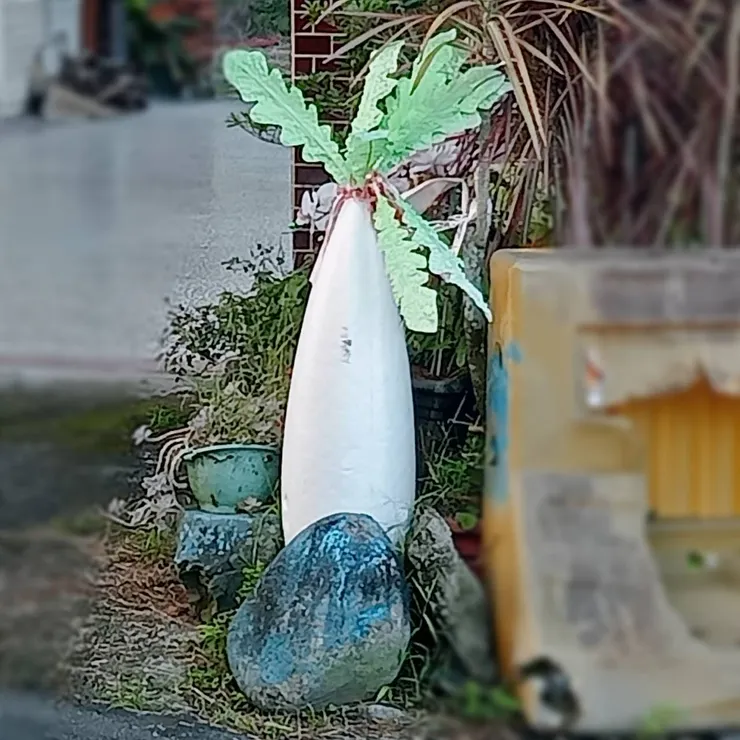 一個巷口的白蘿蔔