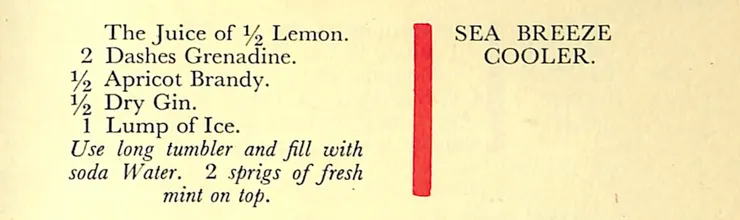 The Savoy Cocktail Book