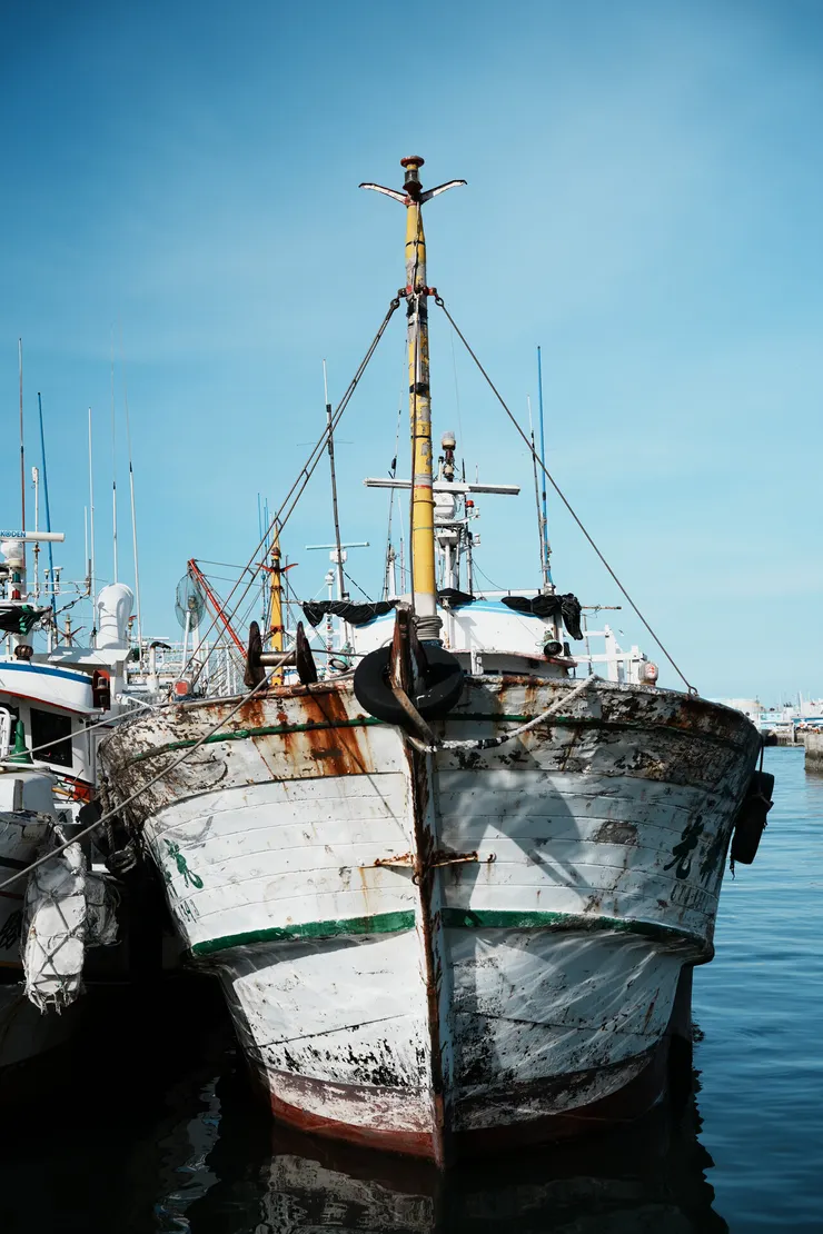 這艘船看起來像是久經沙場的老將