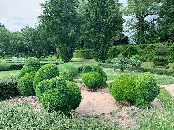 法國勃艮第酒鄉之行
