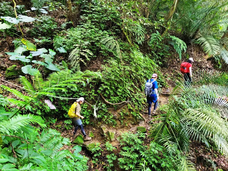 ▲原路折返出雲古道