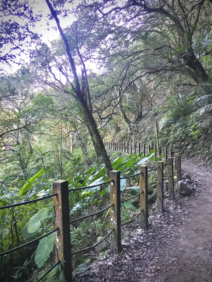 步道前段坡度非常平緩