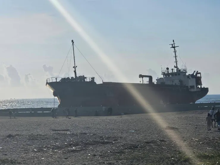 還是有近一點的照片~