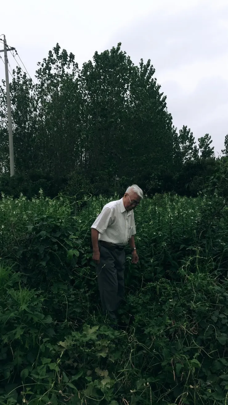 家庭照／學文 提供