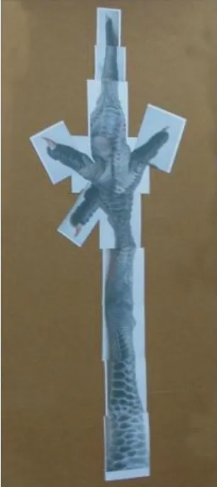 雞爪的異想世界─延伸