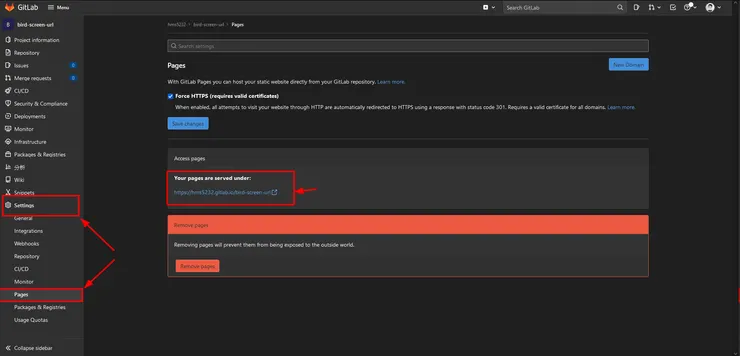 GitLab project 設定中的 Pages 設定與資訊