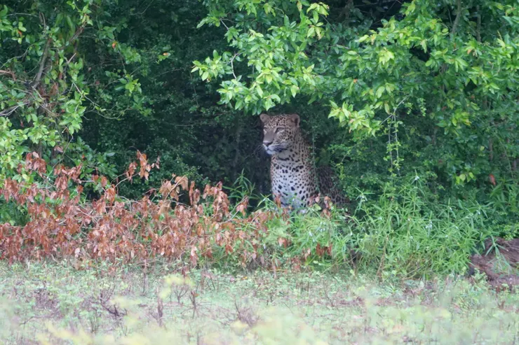 後來還站起來！！