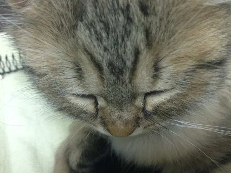 拍攝於 2015/10/19