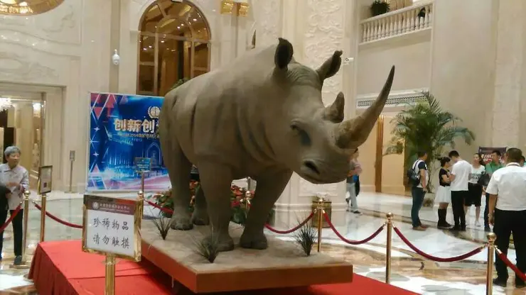 權健華東會議中心內的真犀牛標本(自拍))