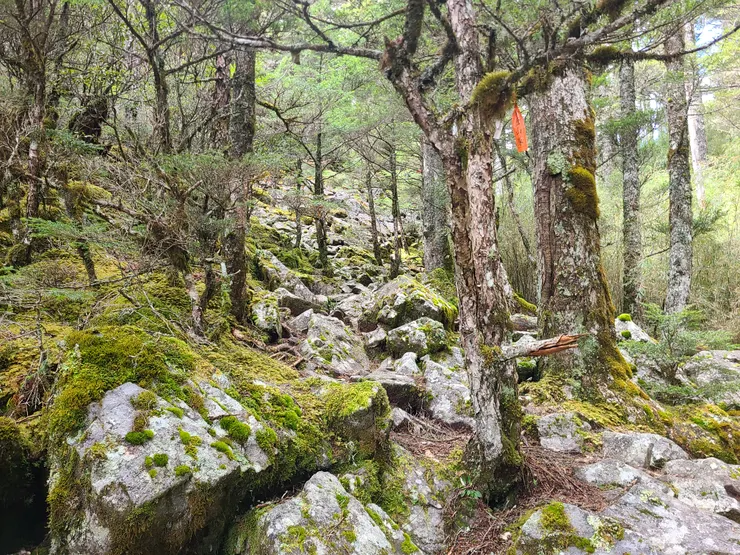 剛開始會先沿著一小段石瀑上