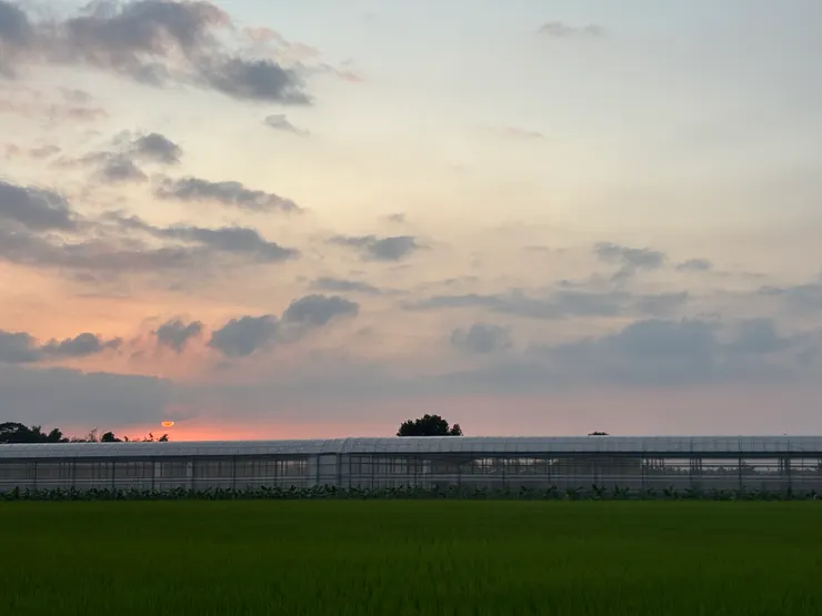 白沙屯媽祖進香之旅｜回家路上