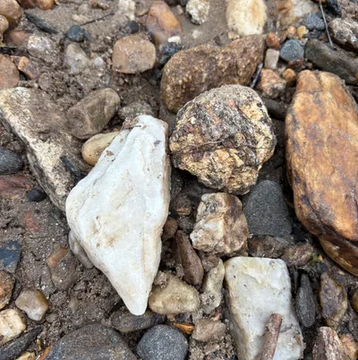 Auntie Julia　阿姨愛你，不會害你❤️