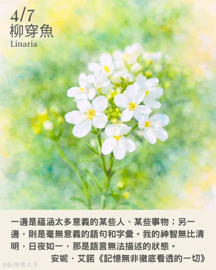 柳穿魚×安妮．艾諾《記憶無非徹底看透的一切》