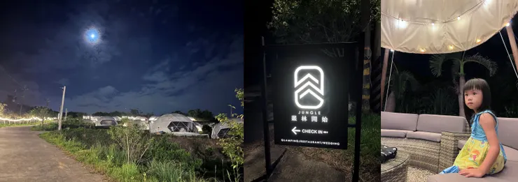 雙寶老爹006208定期定額記錄，2024年08月