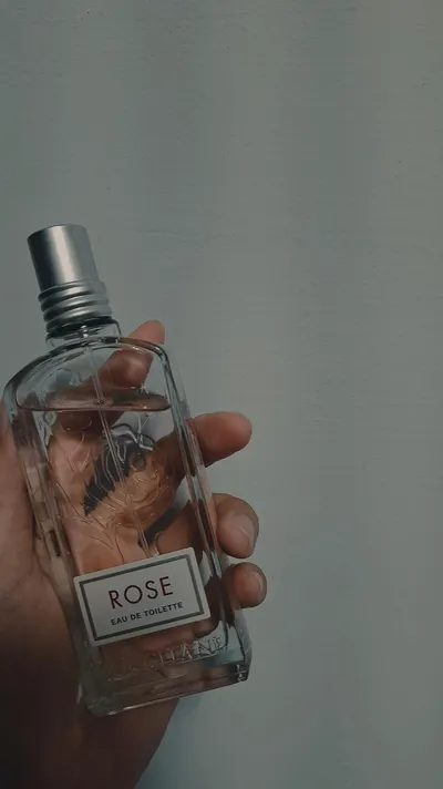 歐舒丹香水比護手霜更厲害！！！❤️‍🔥❤️‍🔥