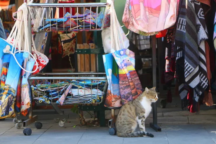 博物館外市集與貓 Kaymakli Underground City攝影於Cappadocia, Turkey 2023