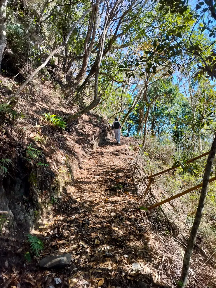 沿路夾帶不同的風景，但不斷直上的陡坡一樣累人