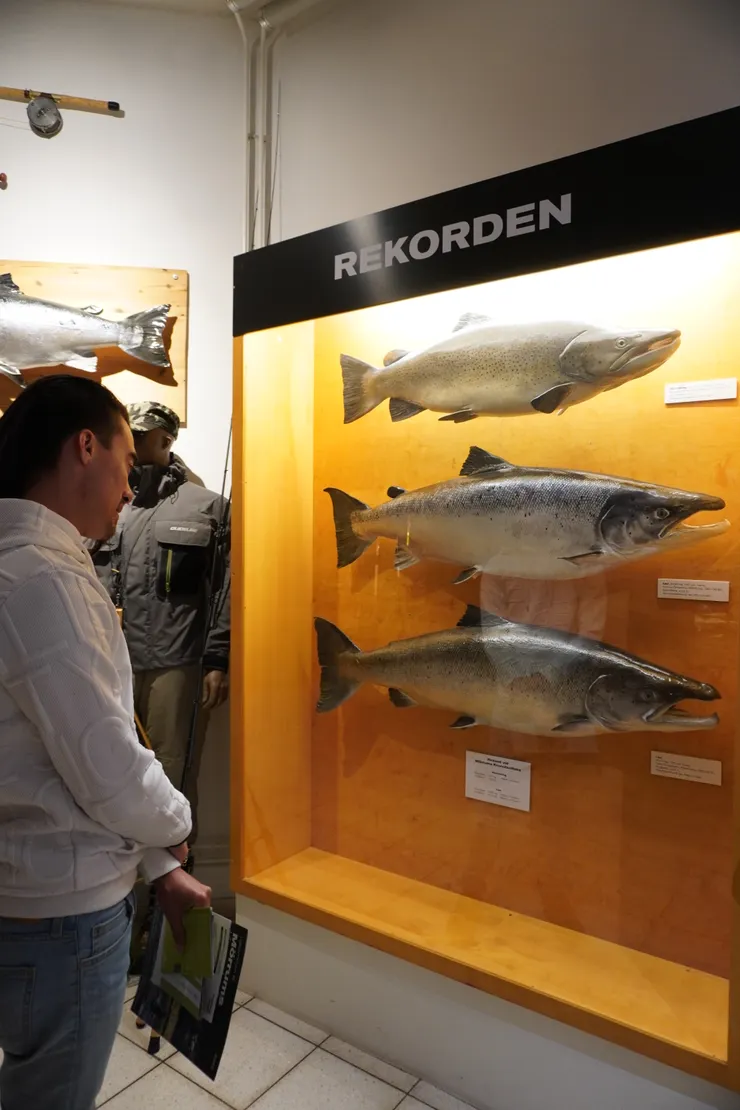 展示管理的紀錄保持區,目前釣到最大的是25公斤左右的大鮭魚