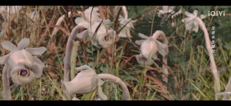 「無憂草」。圖片擷取自《無憂渡》