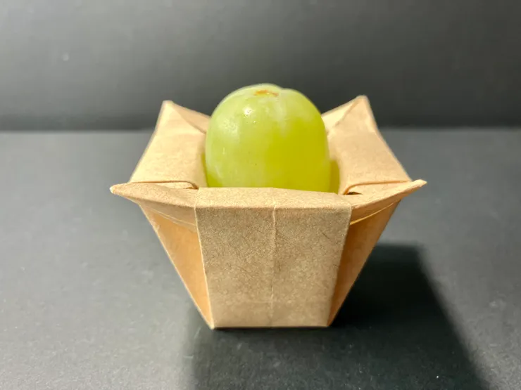 四瓣斗OPS與葡萄