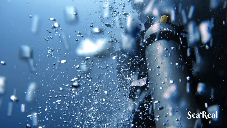 瞬間的永衡 ~ 氣泡上升的壯觀感