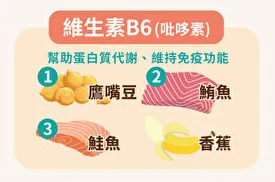 吡哆醇（B6）：神經之守護者的得力助手(從這些食物可以攝取到!!!)