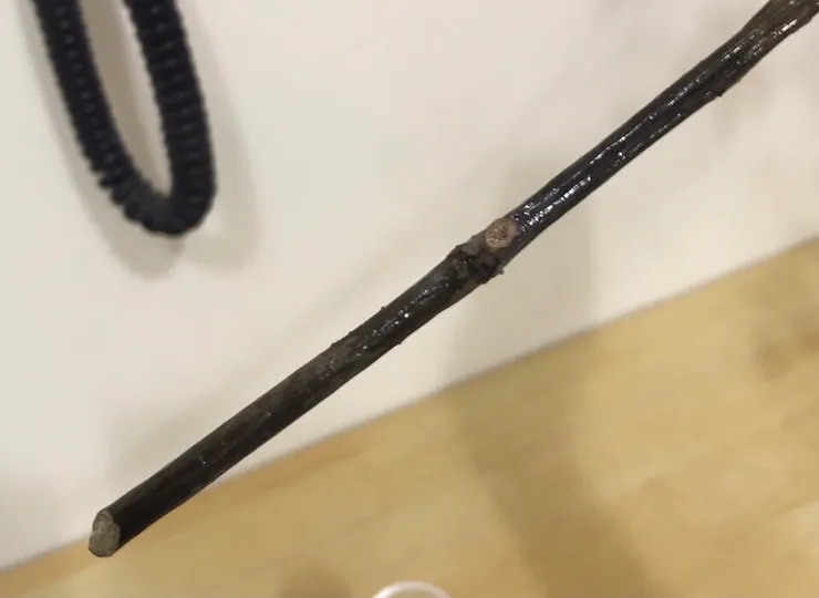 上過白膠的花梗，反光會亮亮的