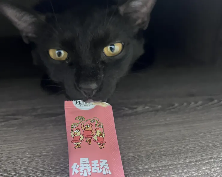 RR的零食是派庫機能肉泥條，這是添加藍藻雞的免疫保健配方。