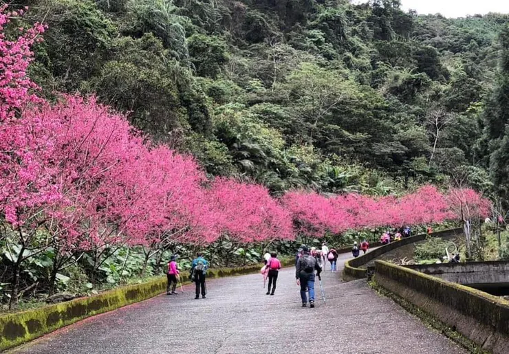 宜蘭縣燈篙林道