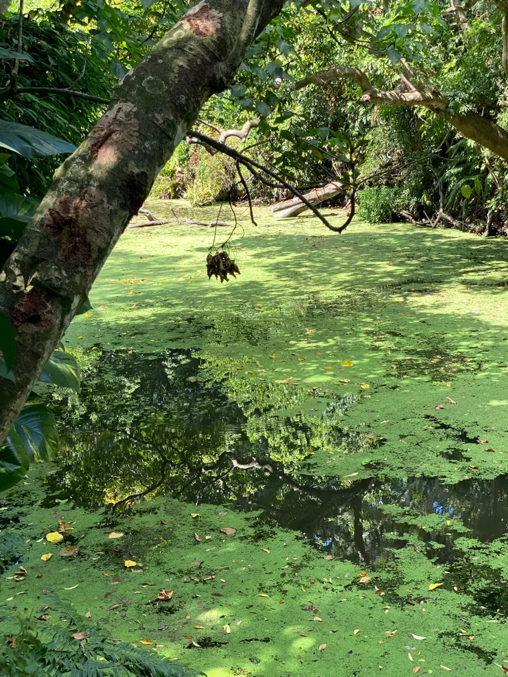 自然生態豐富的萃湖周邊