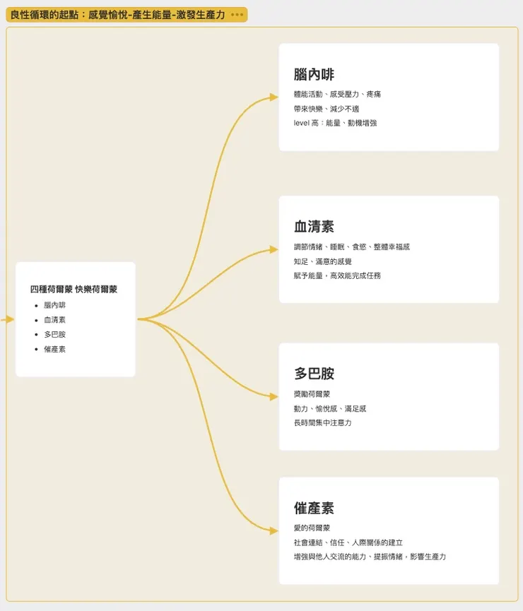 Heptabase筆記一隅：大部分醫學生學習過程最痛苦的橋段莫過於神解（神經解剖學），甚至藥理學裡的 CNS（中樞神經）用藥、這幾個相關路徑、Receptor（受體）總是令人非常頭痛！不得不說，從基礎醫學解脫後，相關的路徑、受體卻一再吸引我的目光，這是探討成癮、情緒、習慣、內在等等的科學路徑呀！