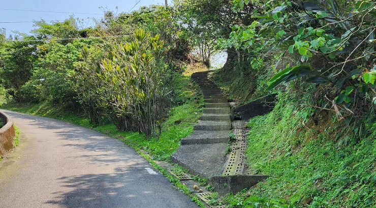 我也走過不少次你小時候每天走的階梯。現在，我只能自已走了。