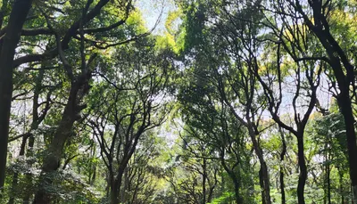 寫字人的嘰哩呱啦