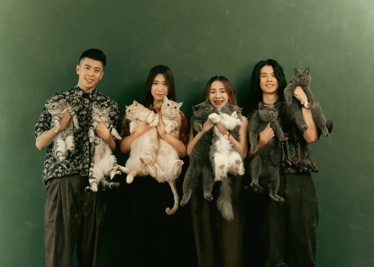 vocus|新世代的創作平台