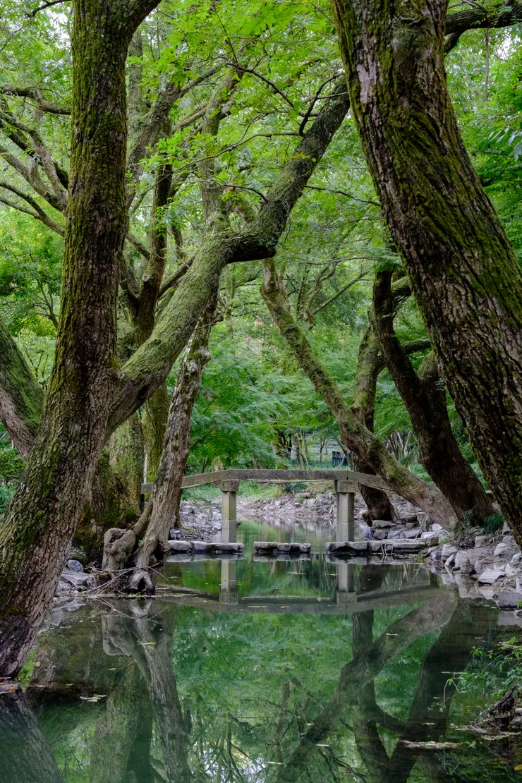 美景讓我好興奮,不停按快門