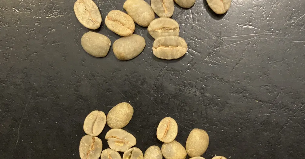 Lost Barista的沙龍