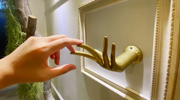 花蓮住宿推薦【路境行旅-花蓮文化館】近東大門夜市住宿