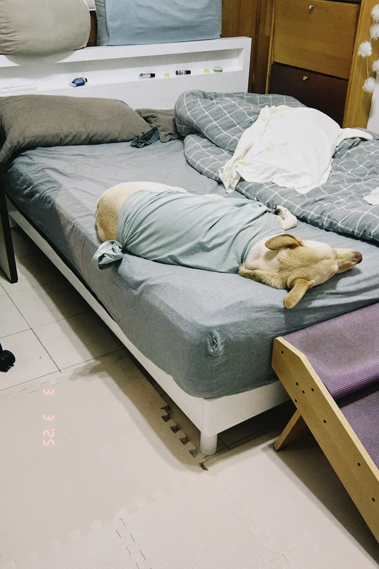 地墊顏色和磁磚很像👍