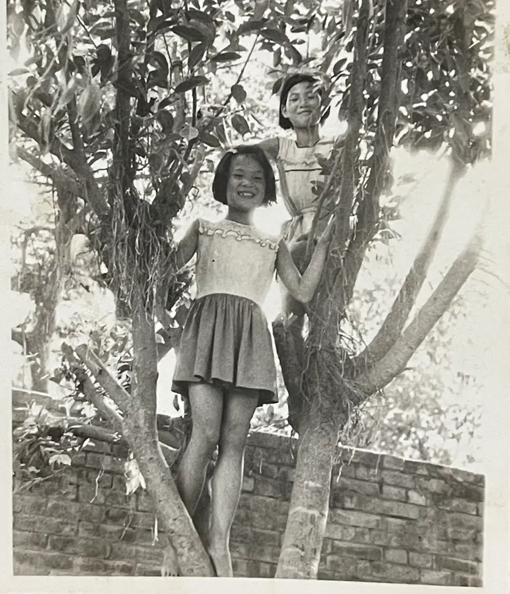 姊姊與我爬樹玩樂