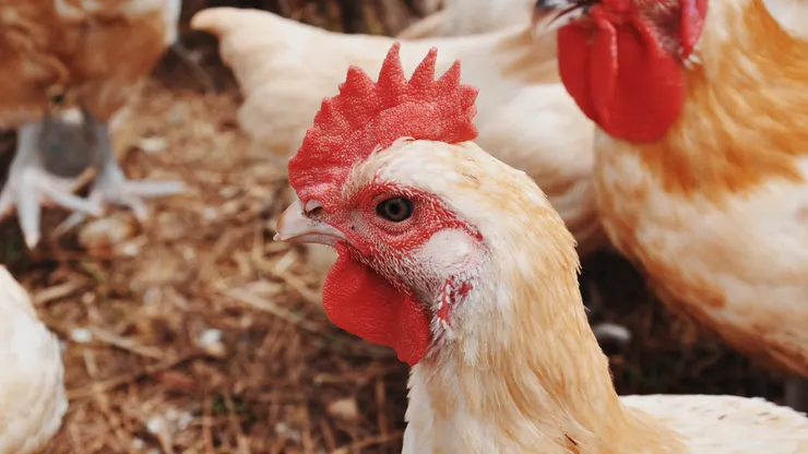 「岩生」意為產自岩石上的生命,「築見」則意指一點一滴的築起智慧。(圖片來源:岩生築見臉書)