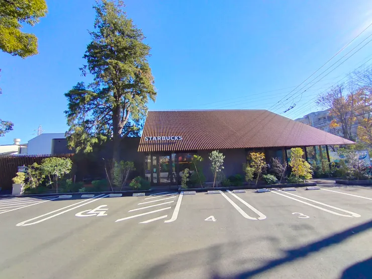 這個新開的分店，強調與300年歷史的樟樹和諧共存