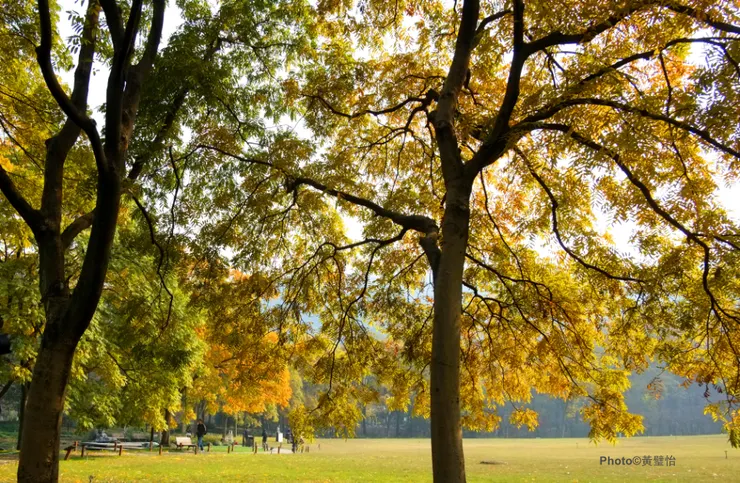 偌大的公園遊人疏落，寧靜得很。