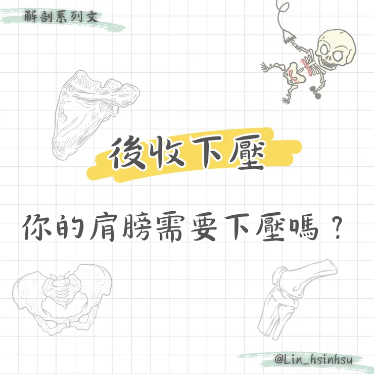 你的肩膀需要下壓嗎？